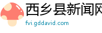 西乡县新闻网